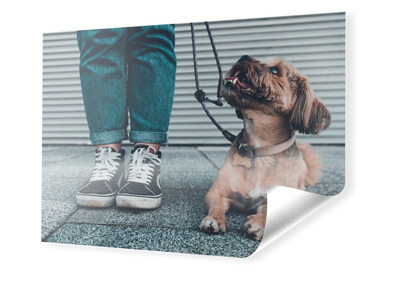 Image of Foto auf PVC-Plane im Format 48 x 27 cm im Format 48 x 27 cm