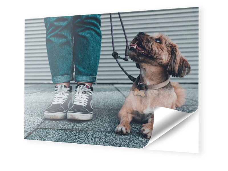 Image of Foto auf Klebefolie im Format 112 x 63 cm im Format 112 x 63 cm