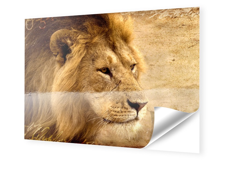 Image of Foto auf Klebefolie im Format 35 x 28 cm im Format 35 x 28 cm