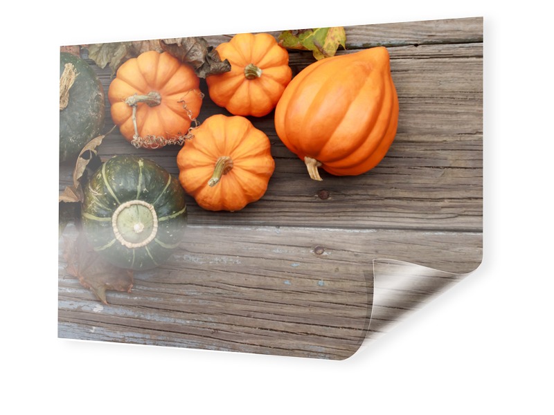 Image of Foto auf Backlit-Folie im Format 60 x 50 cm im Format 60 x 50 cm