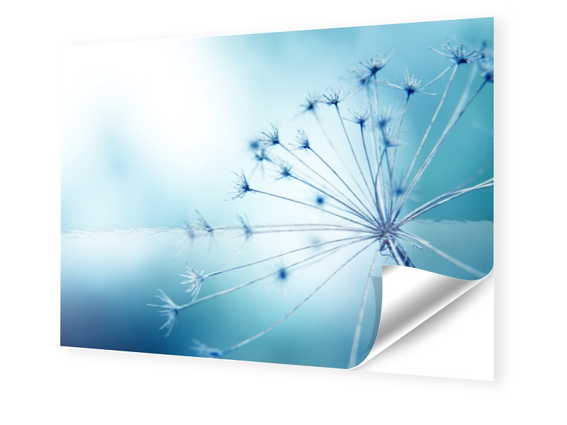 Image of Foto auf Klebefolie im Format 42 x 29,7 cm DIN Format im Format 42 x 29,7 cm