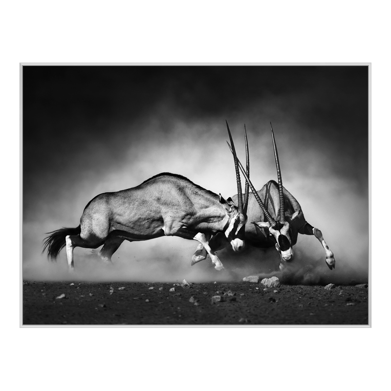 Foto en placa forex con Marco Artbox en blanco en formato 40 x 30 cm