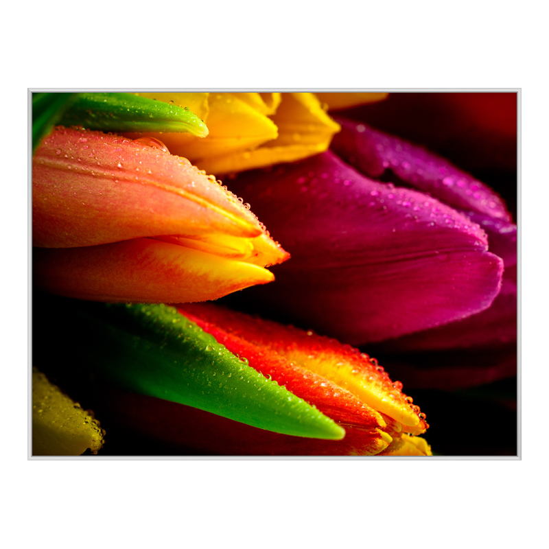 Foto en placa forex con Marco Artbox en blanco en formato 80 x 45 cm
