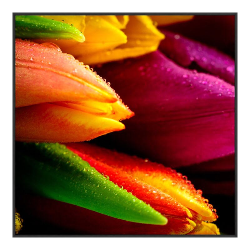 Foto en placa forex con Marco Artbox en negro mate en formato 128 x 72 cm