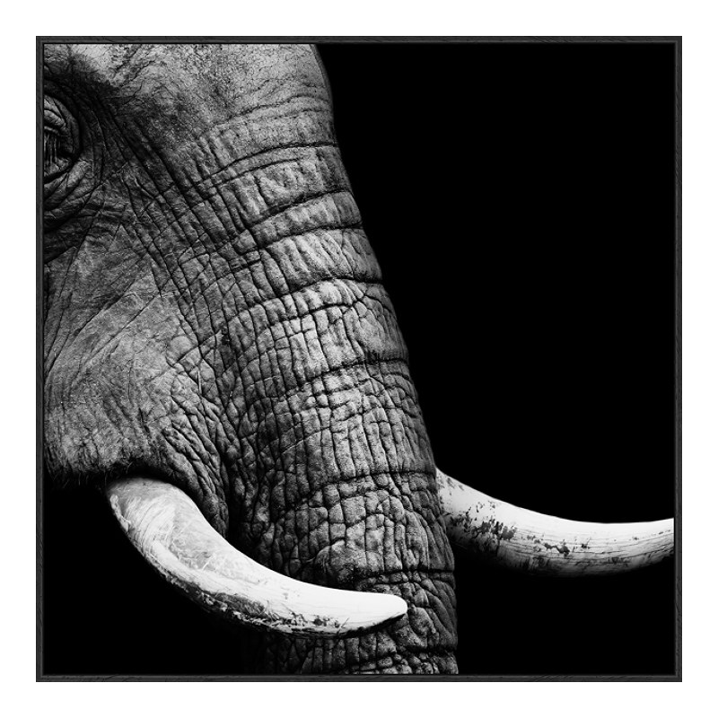 Foto en aluminio con Marco Artbox veteado en negro mate en formato 48 x 27 cm
