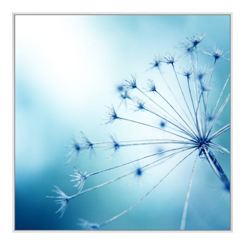 Foto en placa forex con Marco Artbox en blanco en formato 100 x 75 cm