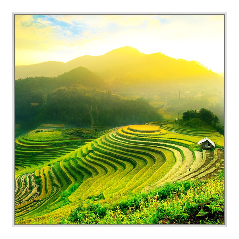 Foto en placa forex con Marco Artbox en blanco en formato 64 x 36 cm