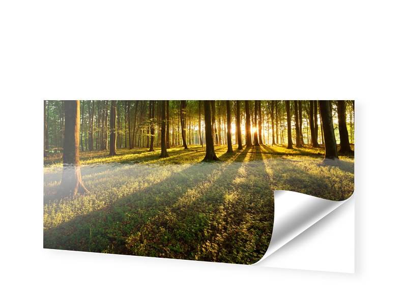 Wanddekoration Online Kaufen Mobel Suchmaschine Ladendirekt De